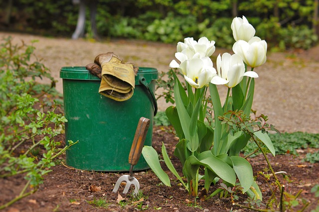 garden-tools