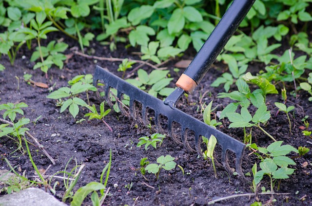 gardening