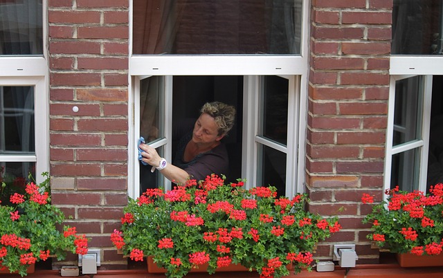 washing windows - CLEANING: What NOT to do!