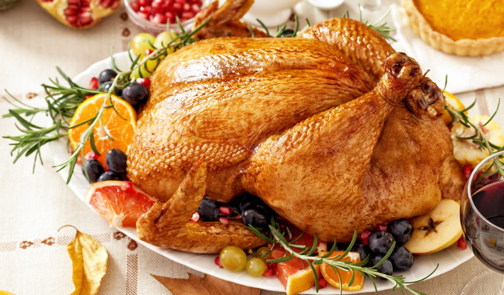 turkey 1 - The Joy of Thanksgiving Leftovers
