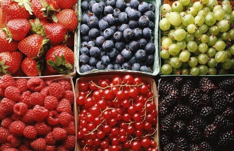 berries - Practical (and necessary) Diet Improvements