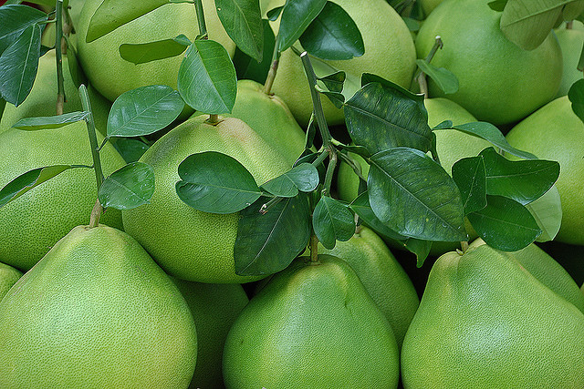 Pomelo Plant Leaves