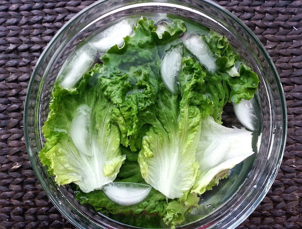 lettuce ice bath revitalize - Veggie Vitality: Preserving the freshness of our precious produce