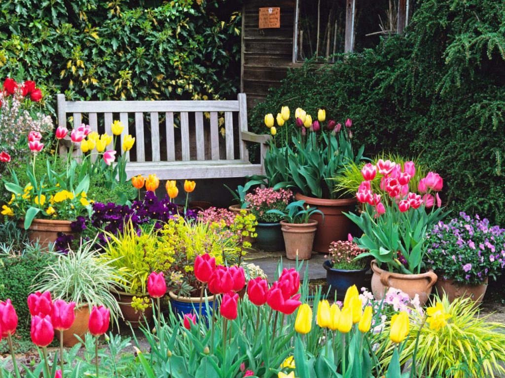 growing-a-new-easter-garden