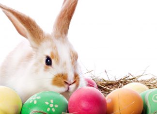 Rocking Mama Answers: ‘Is the Easter Bunny Real?’ easter-bunny-easter-eggs-nest-rocking-mama