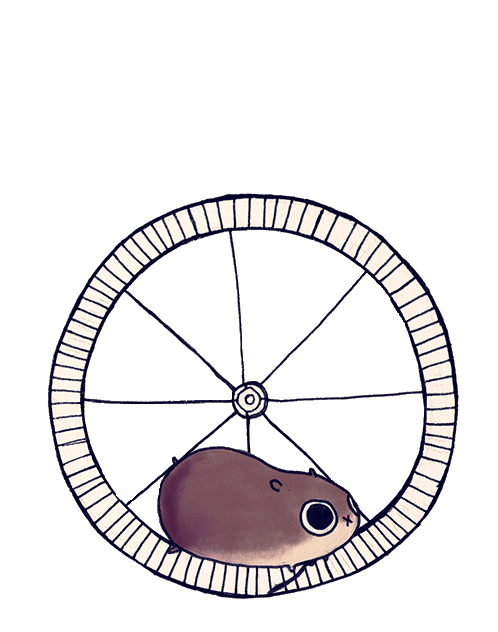hamster-running-in-a-wheel
