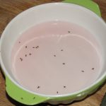 dish-soap-to-kill-fleas-home-remedy