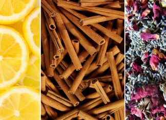 Easy-to-Make Air Fresheners A-trio-of-air-freshening-ingredients