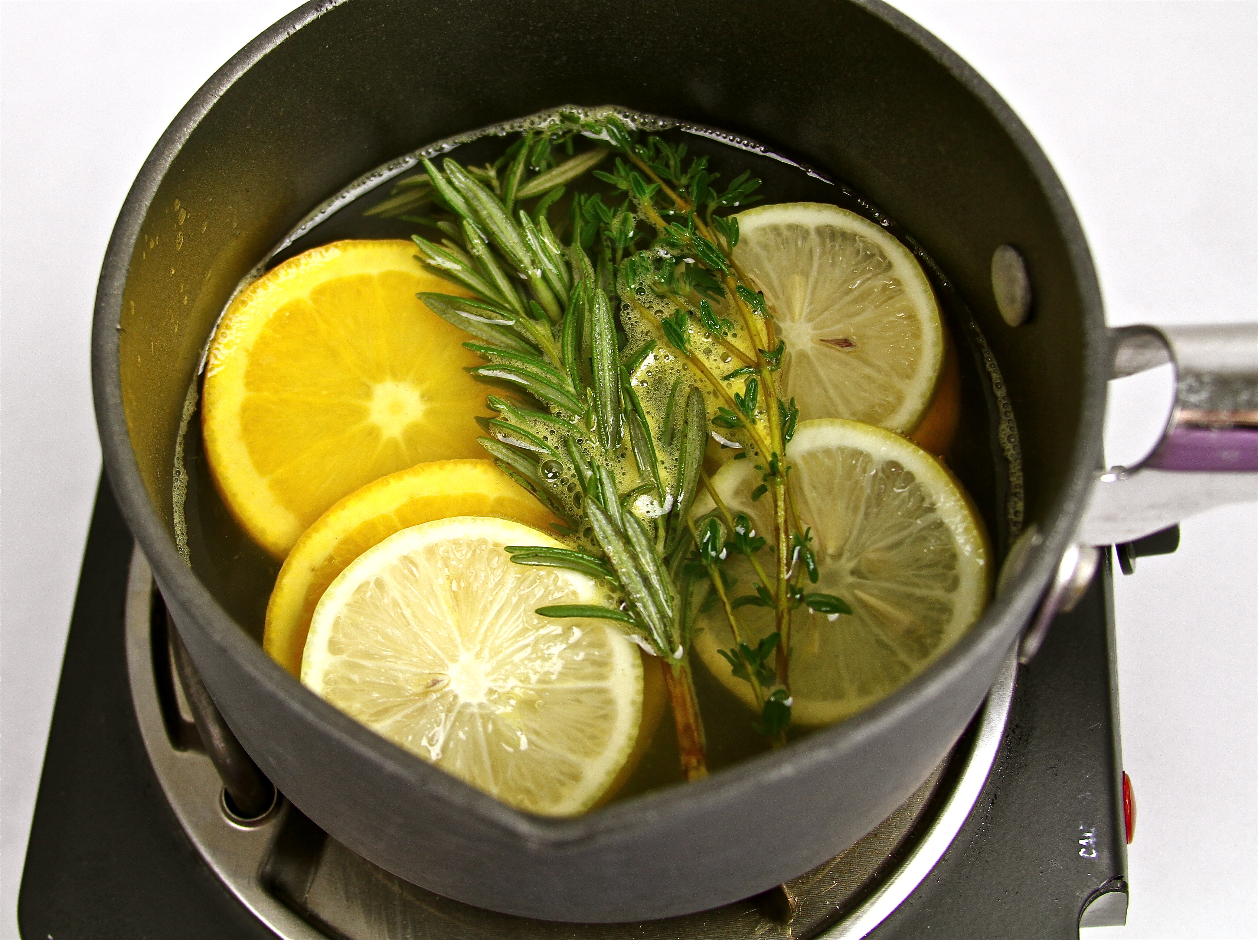 Lemon and eucalyptus used as a air freshener. - Easy-to-Make Air Fresheners