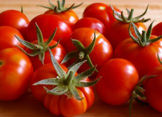 The Tomato Tutorial: Tips on How to Grow Your Own Tomatoes Juicy-Ripe-home-grown-tomatoes