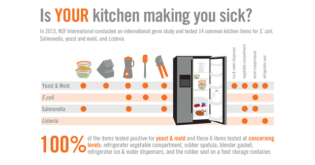 infographic bacteria in the kitchen - 9 Reasons Why You Should Choose Wall Cabinets Over Open Shelving