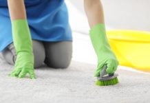 How to Clean Your Carpet Like a Professional