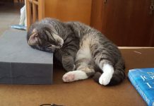 How to fall asleep fast tips