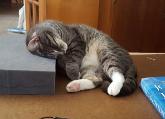 How to fall asleep fast tips