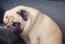 How to be social at parties if you’re an introvert