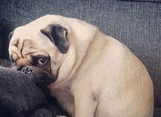 How to be social at parties if you’re an introvert